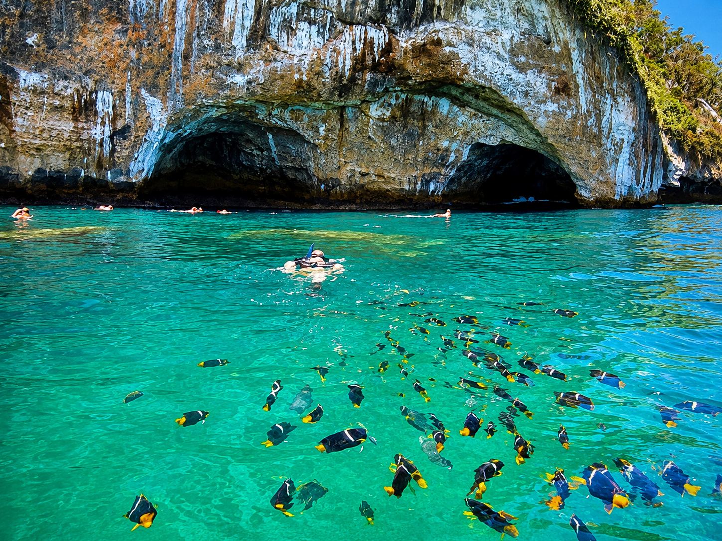 Snorkeling the Marietas
